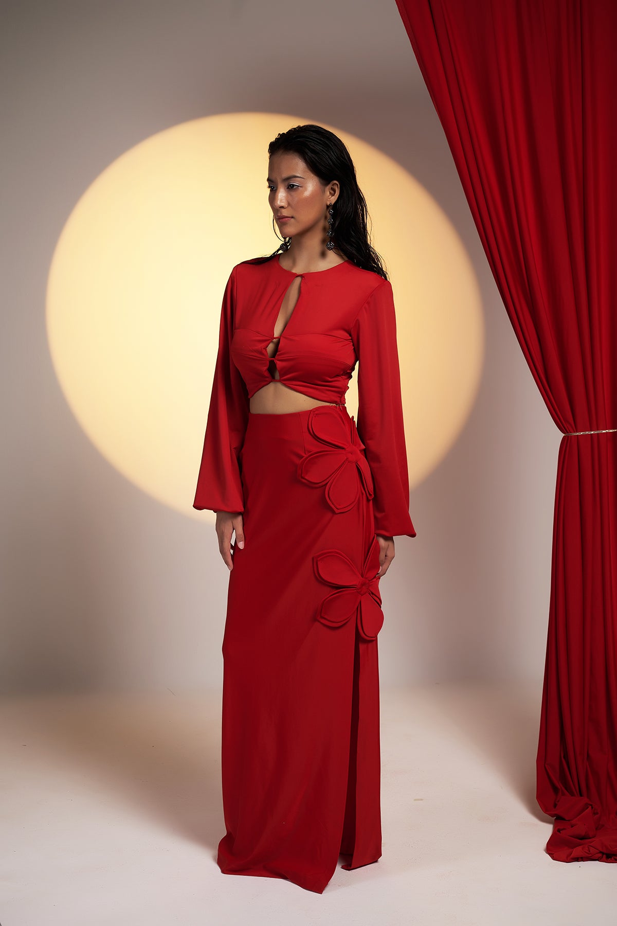 Crimson Tease Crop Top