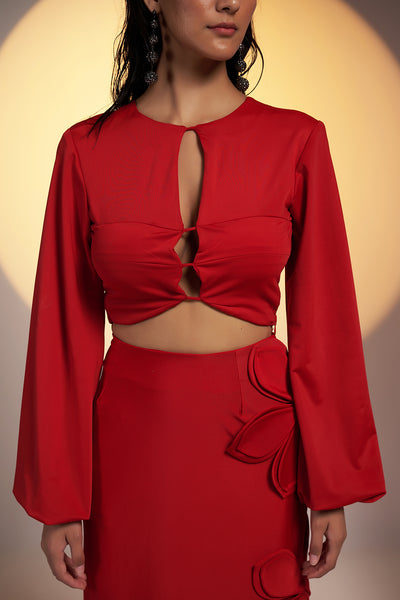Crimson Tease Crop Top